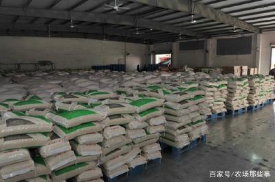你吃的食品安全吗?看龙头企业在高温季节如何给刚加工的大米降温